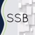 S.S.Burad & Associates Logotype