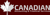 Canadian Accounting & Financial Services Logotype