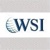 WSI of Park Ridge Logotype