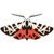 Tigermoth Creative, LLC Logotype