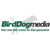 Birddog Media Logotype
