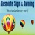 Absolute Sign & Awning Logotype