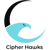 Cipher Hawks Logotype