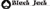 Black Jack Productions, LLC Logotype