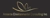 Amiante​ Environmental Consulting Inc. Logotype