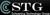 Schoening Technology Group Inc Logotype