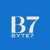 Byte7 Services Private Limited Logotype
