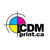 CDM Print Logotype
