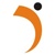 D'selva Infotech Logotype