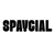 Spaycial Logotype