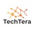 TechTera, LLC Logotype