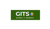 Global IT Sources Logotype