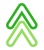 Rank Tree Logotype