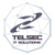 Telsec IT Logotype