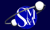 Smith Mandel & Associates LLP Logotype