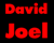 David Joel High End Chicago Photographers Logotype