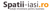 Spatii-Iasi.ro Logotype