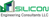 Silicon Engineering Consultants LLC Logotype