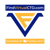 FindVirtualCTO Logotype