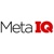 Meta IQ Services, Inc. Logotype