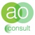 AO Consult LLC Logotype
