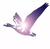 Wild Goose Enterprises Inc. Logotype