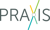 PRAXIS Strategic Consulting, LLC Logotype