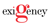 Exigency Logotype