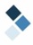 Premier Employer Services, Inc Logotype