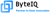 ByteIQ Analytics Pvt Ltd Logotype