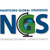 Nanticoke Global Strategies LLC Logotype