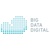 Big Data Digital Logotype
