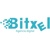 Bitxel Logotype