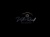 Victor Ravell Photography Logotype