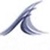 Shore Points Capital Logotype