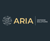 ARIA DEFENSE SOLUTIONS, LLC Logotype