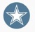 Brightstar Software Logotype