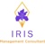 Iris Management Consultant Logotype