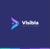 Visibla Solutions Logotype