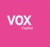 VOX Capital Logotype