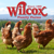 Wilcox Family Farms Logotype