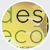 Design Ecology Logotype