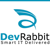 DevRabbit IT Solutions Logotype