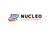 Nucleo Analytics Pvt Ltd Logotype
