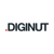 Digi Nut Logotype