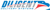 Diligent Delivery Systems Logotype