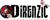 Direnzic Technology & Consulting, LLC Logotype