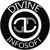 Divine Infosoft Logotype