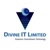 Divine IT Limited Logotype