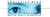 dmfilm Logotype